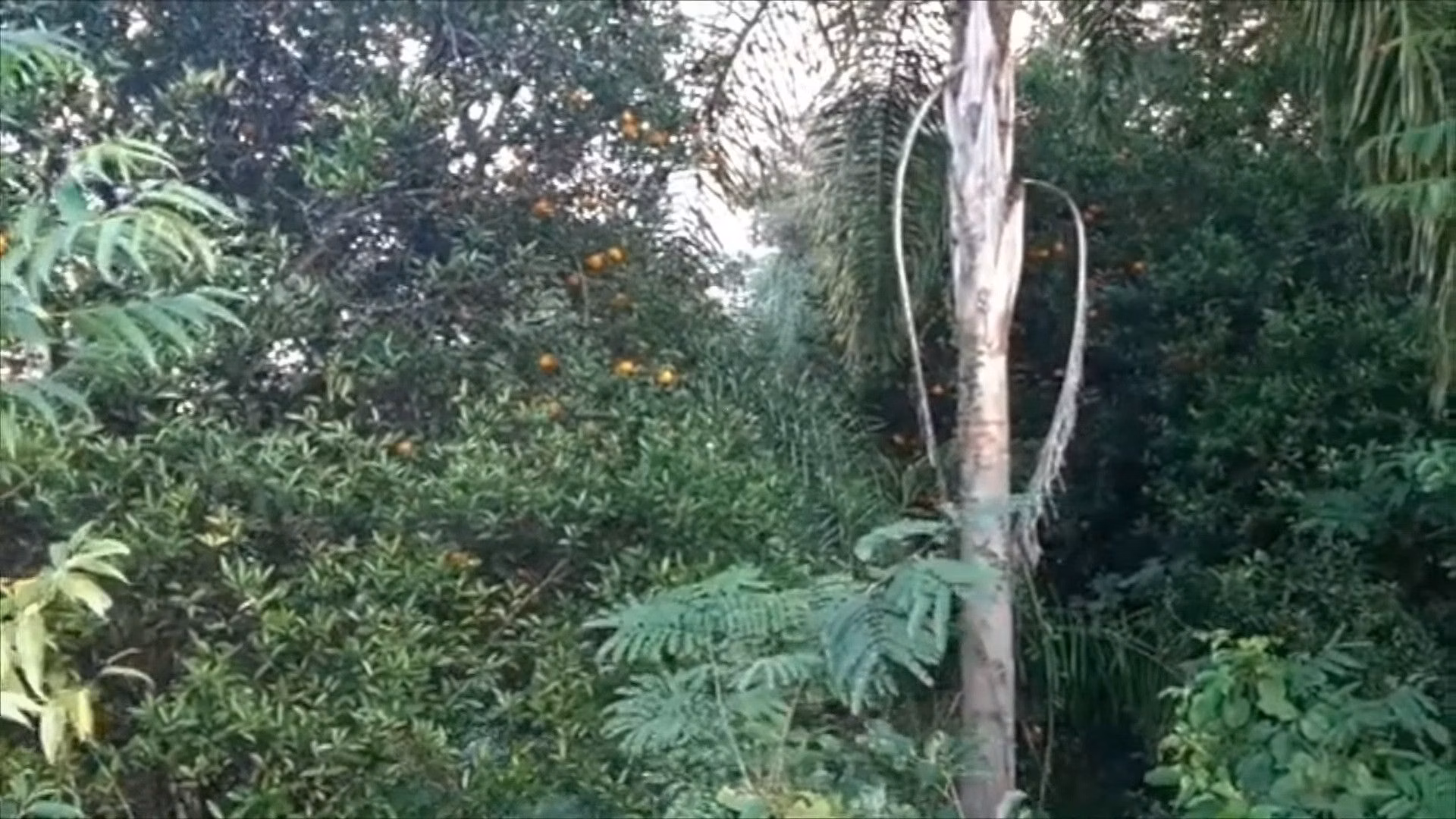 Country home of 2,000 m² in Parobé, RS, Brazil