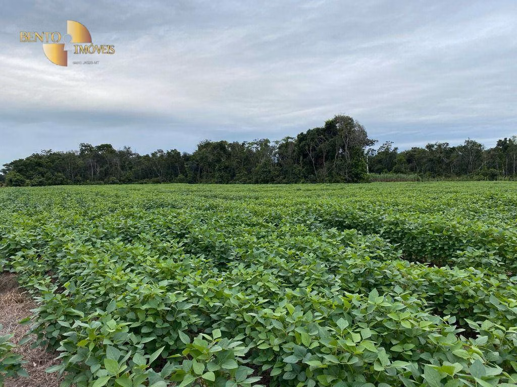 Fazenda de 1.600 ha em Rosário Oeste, MT