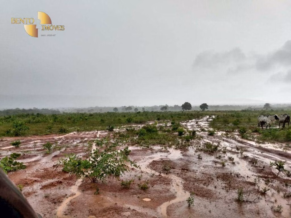 Fazenda de 1.600 ha em Rosário Oeste, MT