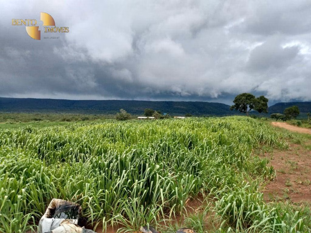 Fazenda de 1.600 ha em Rosário Oeste, MT