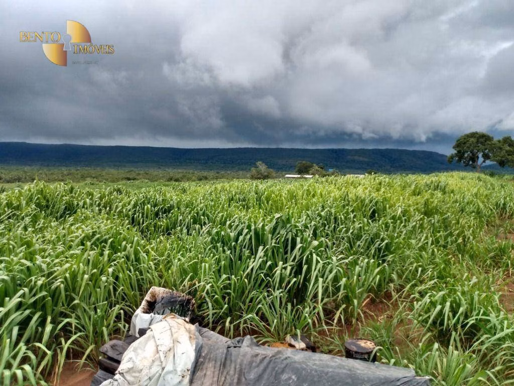 Fazenda de 1.600 ha em Rosário Oeste, MT