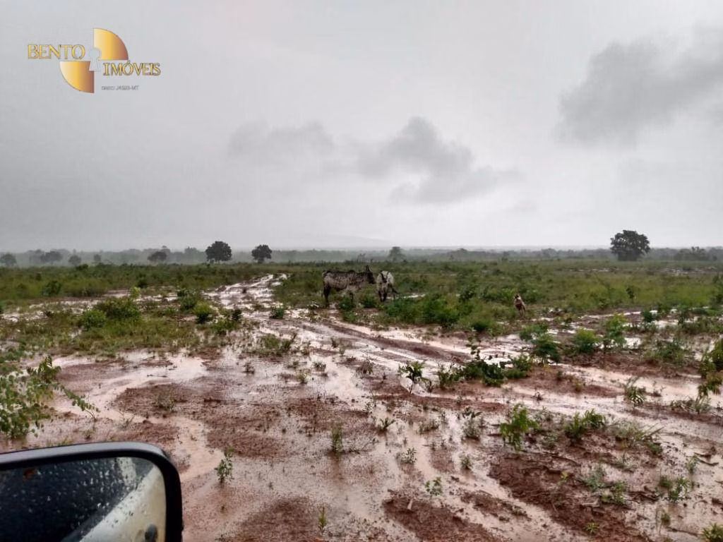Fazenda de 1.600 ha em Rosário Oeste, MT