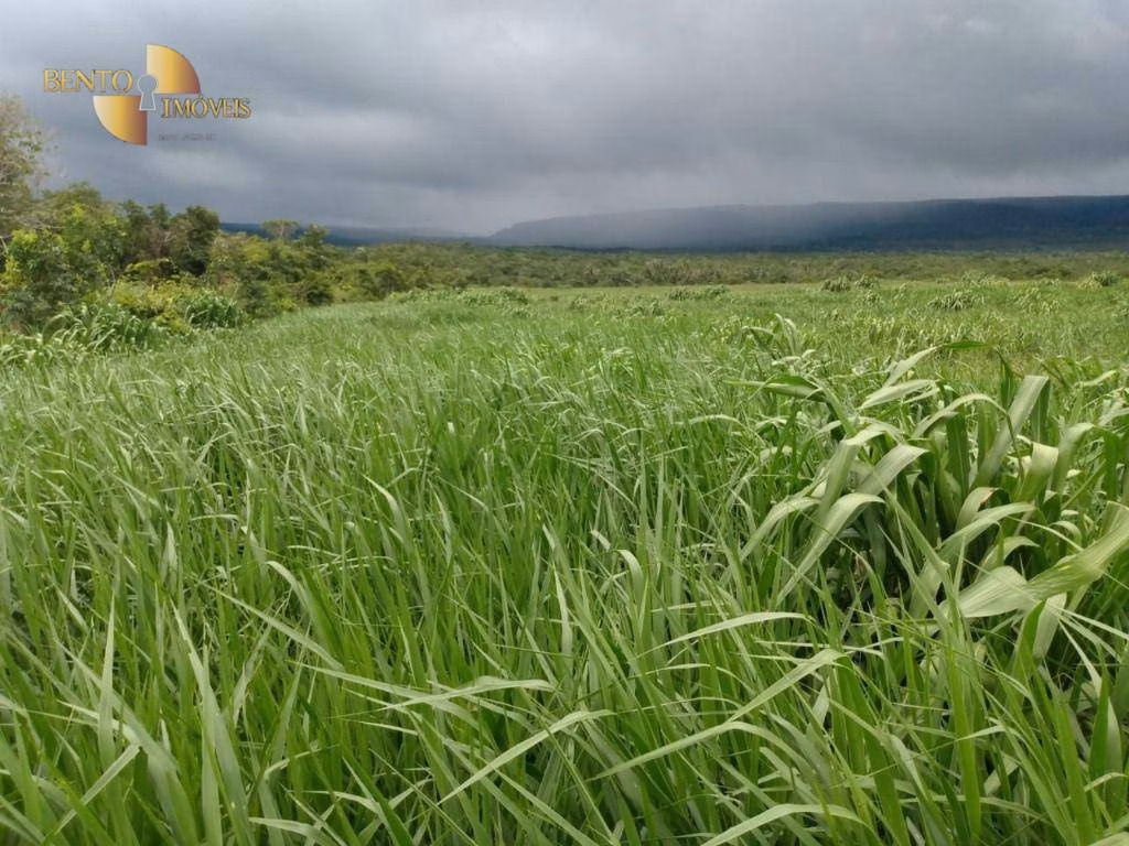 Fazenda de 1.600 ha em Rosário Oeste, MT