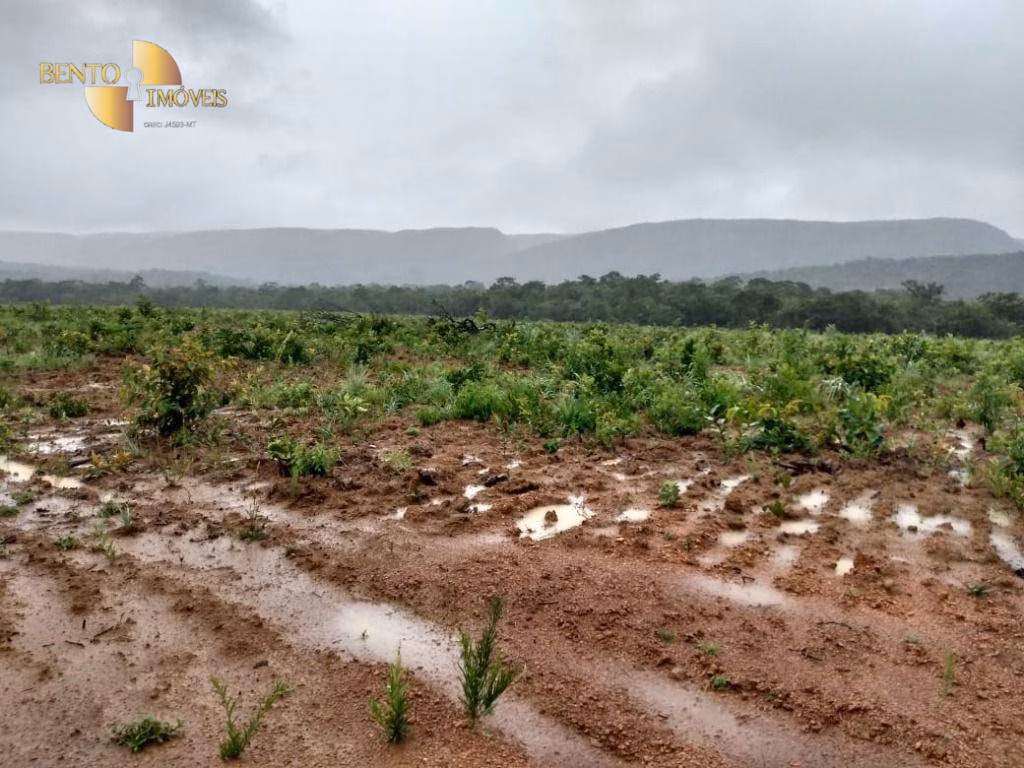 Fazenda de 1.600 ha em Rosário Oeste, MT