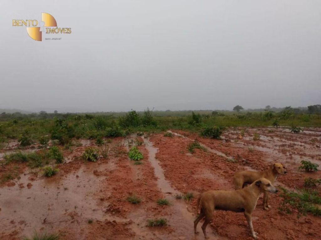 Fazenda de 1.600 ha em Rosário Oeste, MT