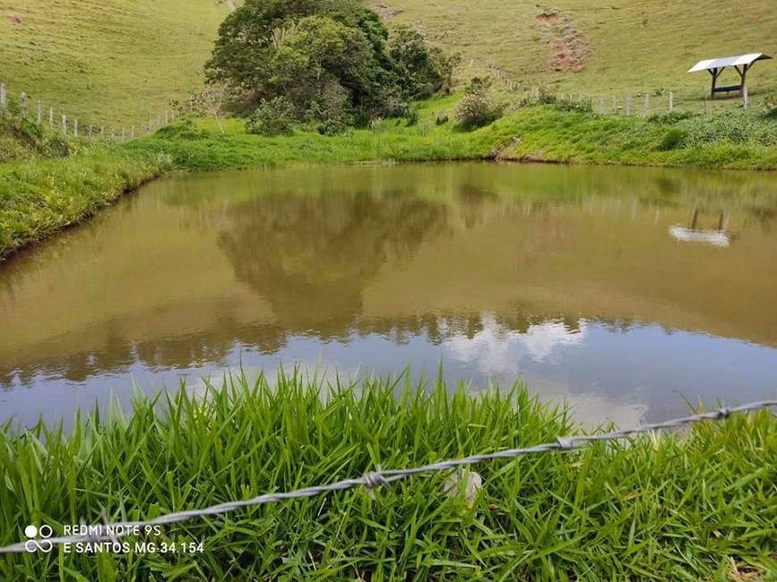 Fazenda de 250 ha em Cambuí, MG
