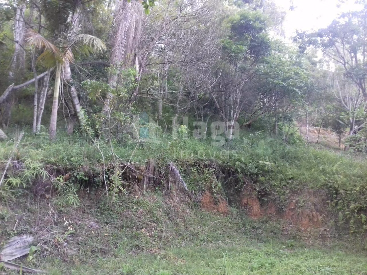 Country home of 1 acres in Botuverá, SC, Brazil