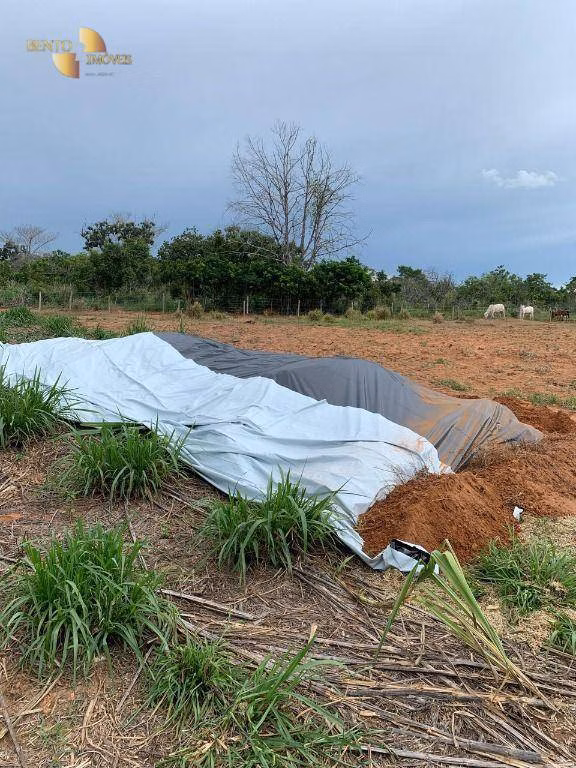 Fazenda de 305 ha em Chapada dos Guimarães, MT