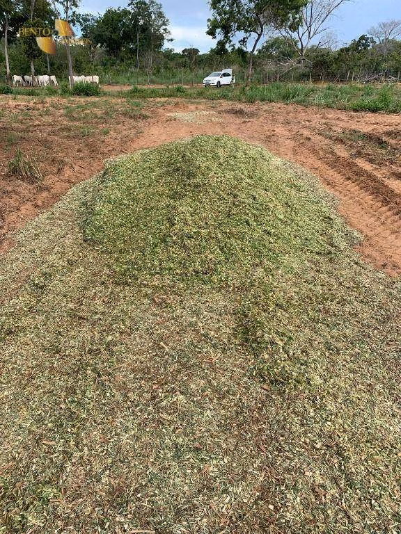 Fazenda de 305 ha em Chapada dos Guimarães, MT