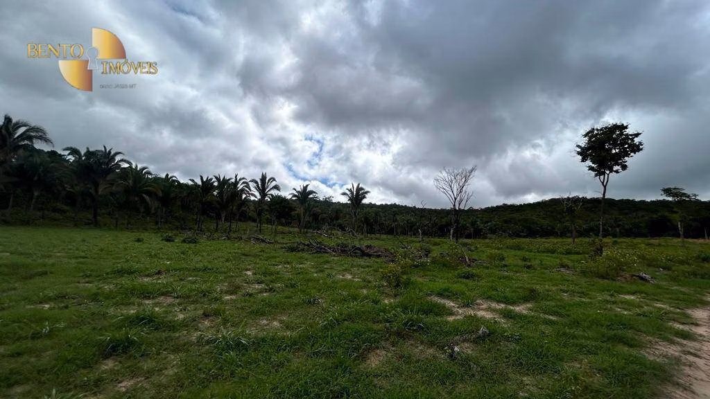 Fazenda de 305 ha em Chapada dos Guimarães, MT