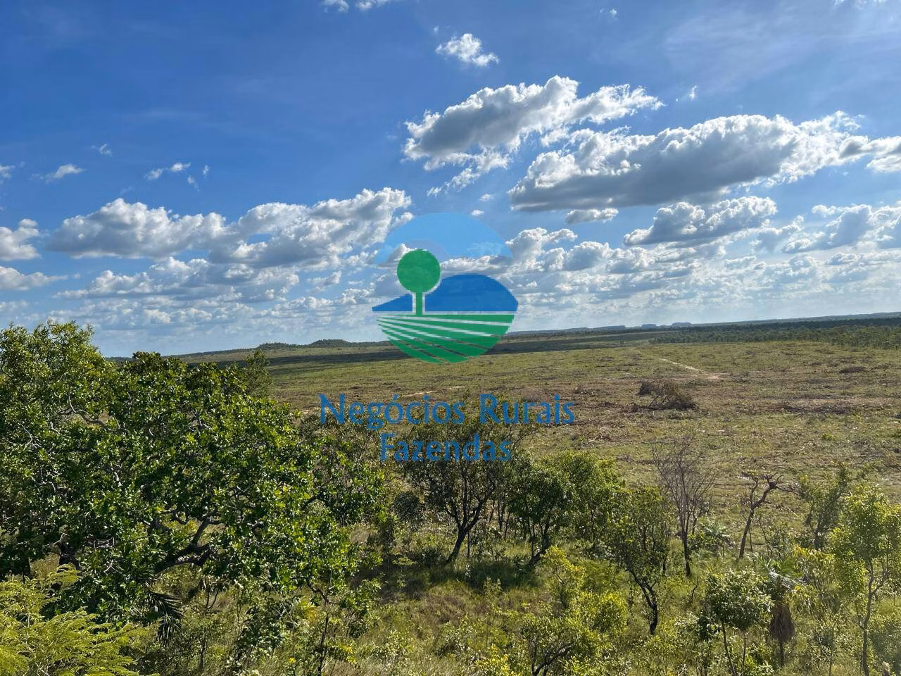 Fazenda de 4.936 ha em Goiatins, TO