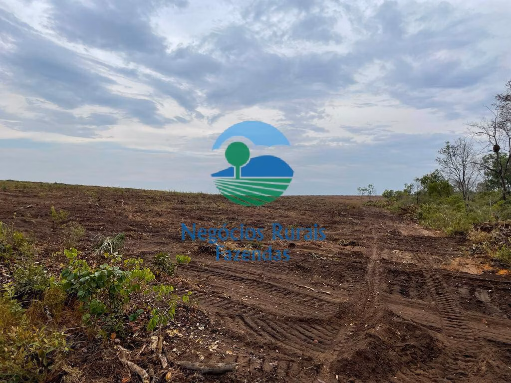 Fazenda de 4.936 ha em Goiatins, TO