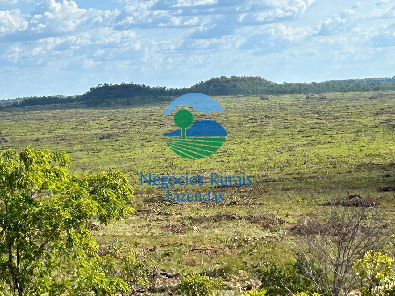 Fazenda de 4.936 ha em Goiatins, TO