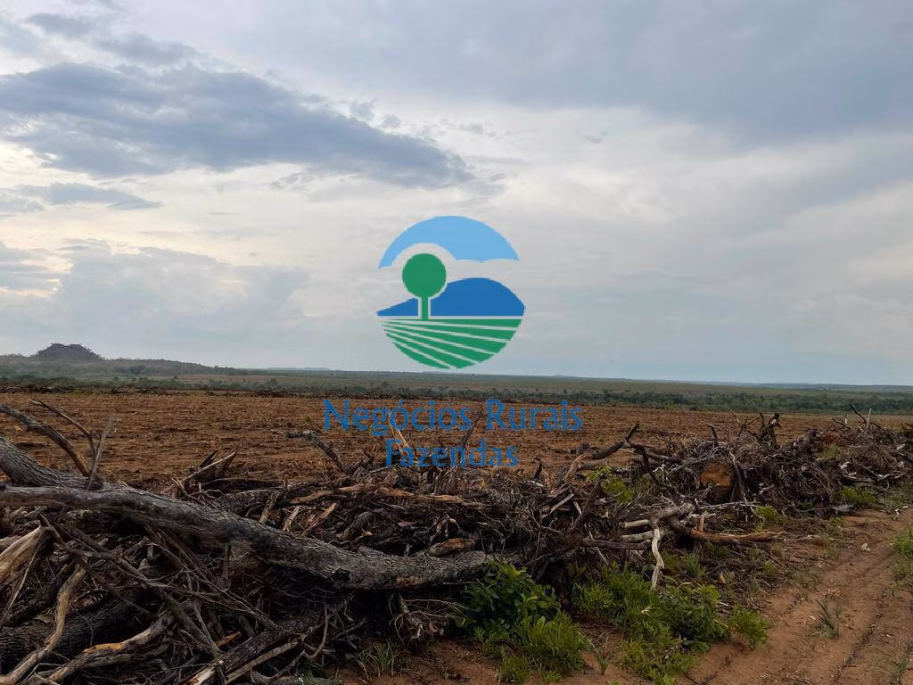 Fazenda de 4.936 ha em Goiatins, TO
