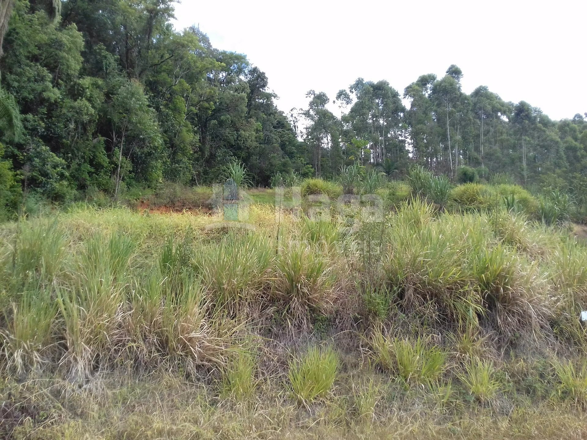 Terreno de 600 m² em Botuverá, SC