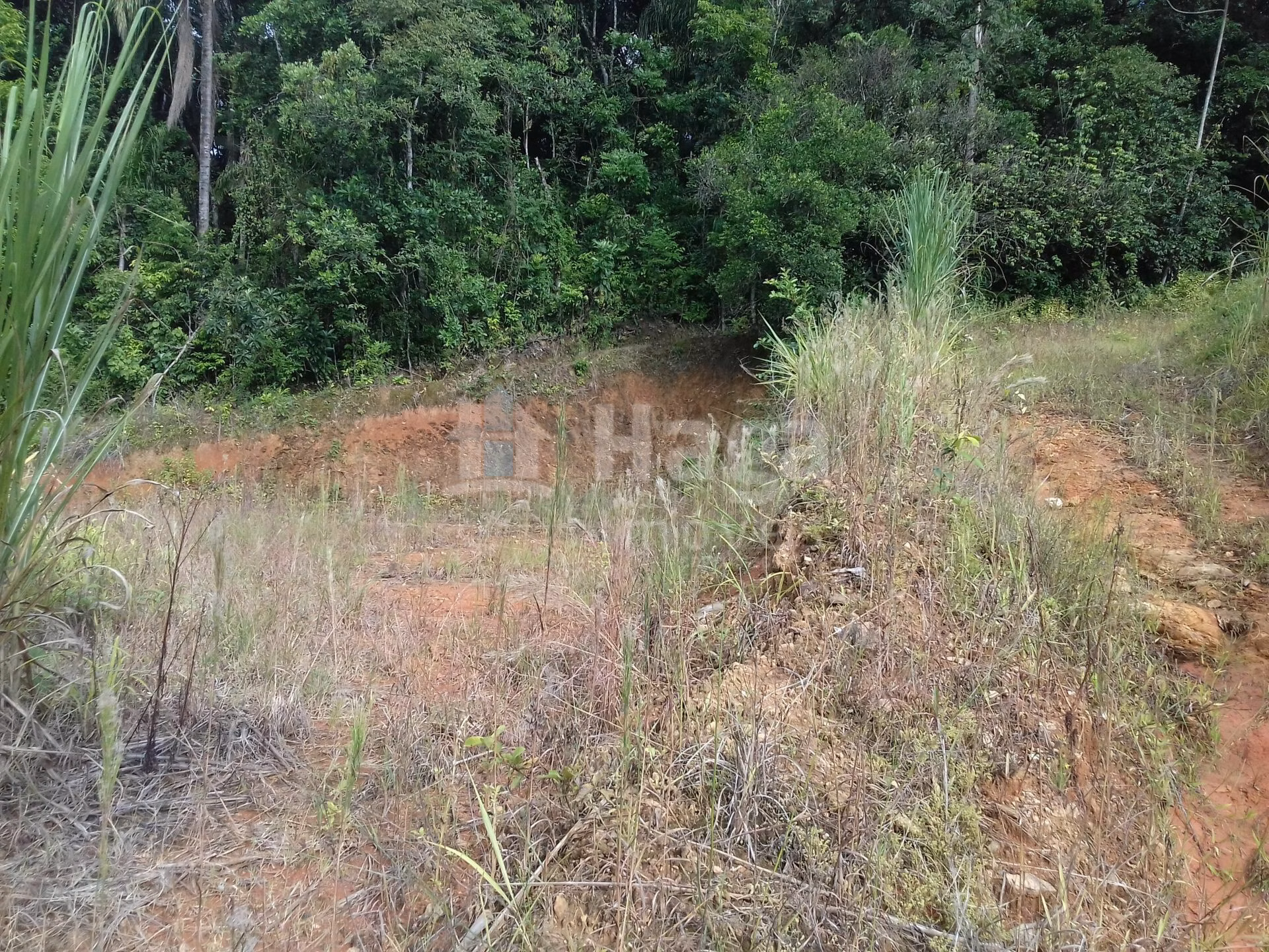 Terreno de 600 m² em Botuverá, SC