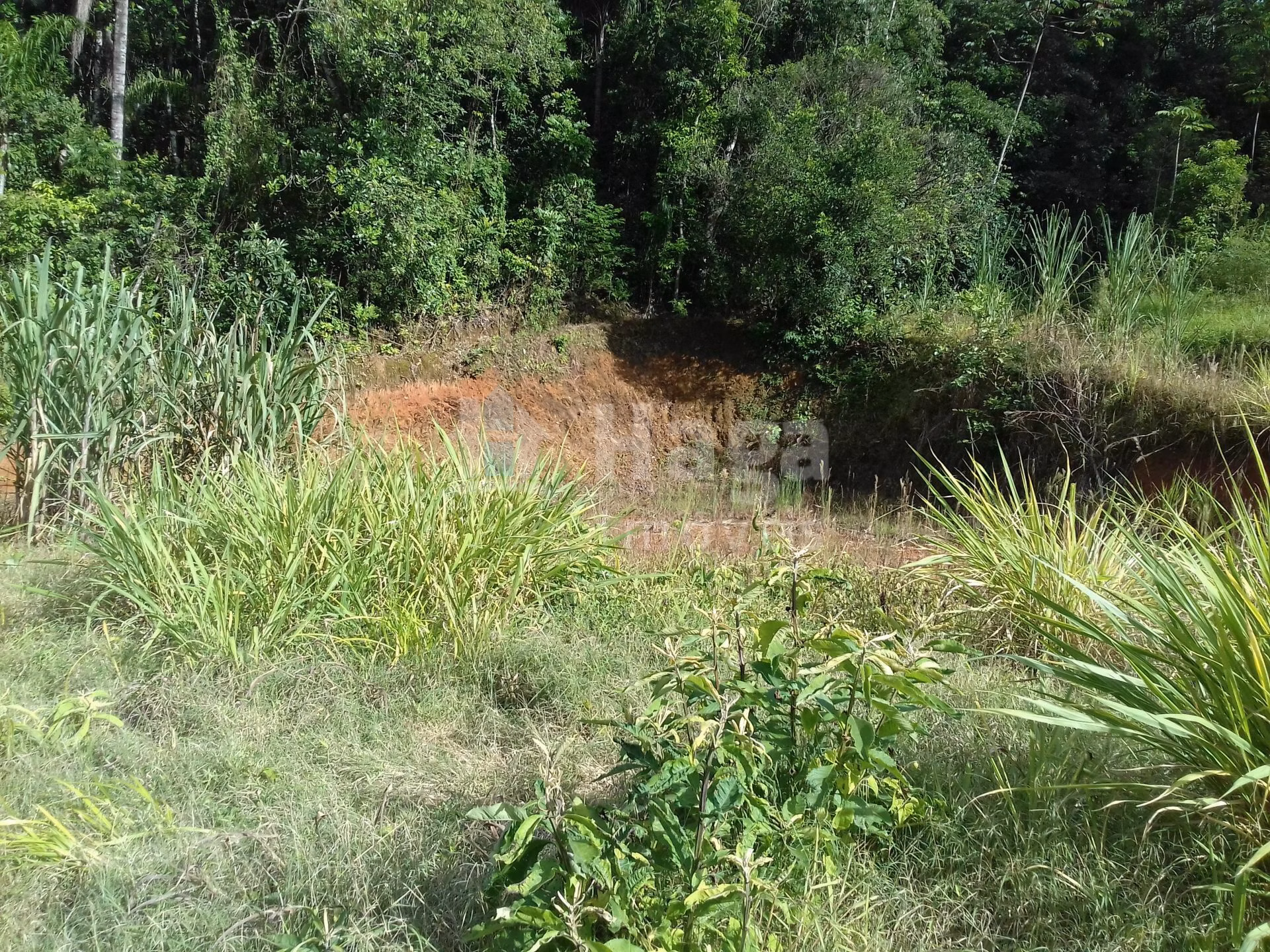 Terreno de 600 m² em Botuverá, SC