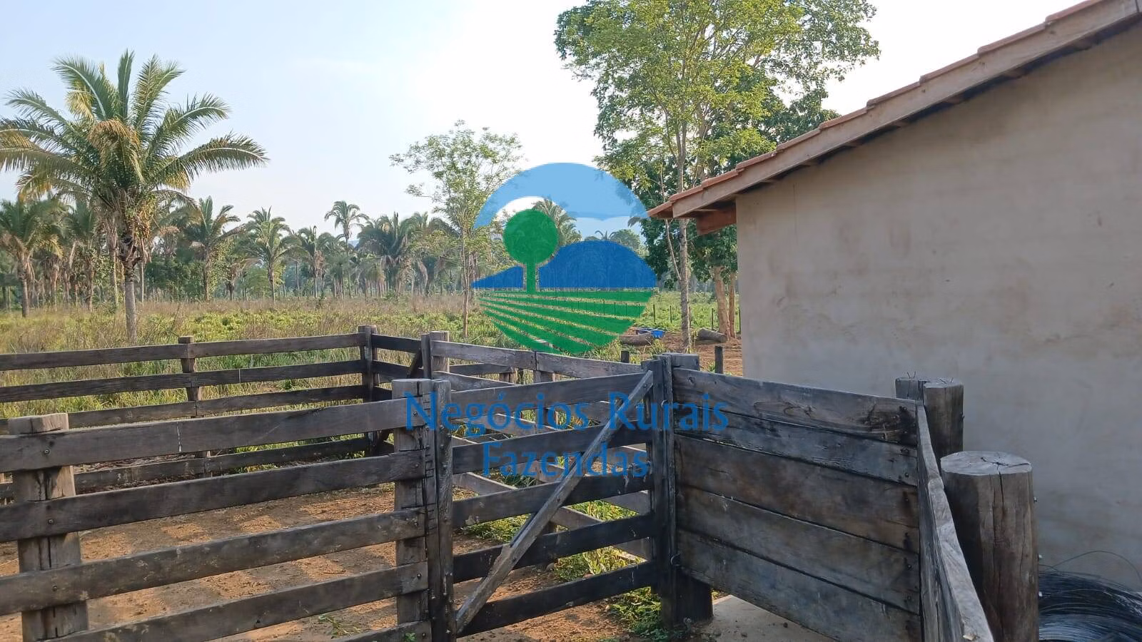 Fazenda de 890 ha em Minaçu, GO