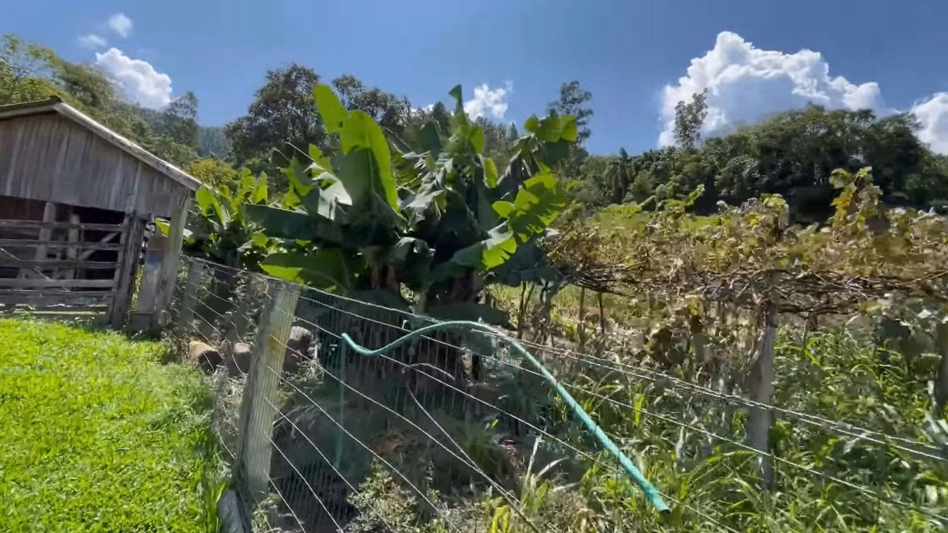 Small farm of 57 acres in Maquiné, RS, Brazil