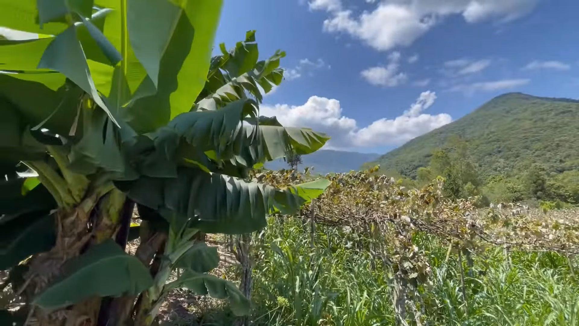 Small farm of 57 acres in Maquiné, RS, Brazil
