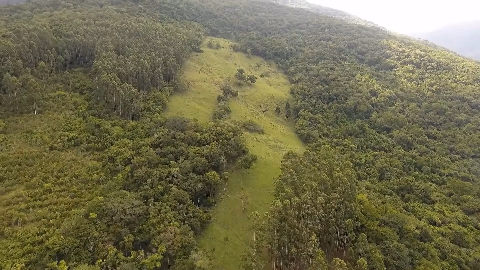 Small farm of 57 acres in Maquiné, RS, Brazil