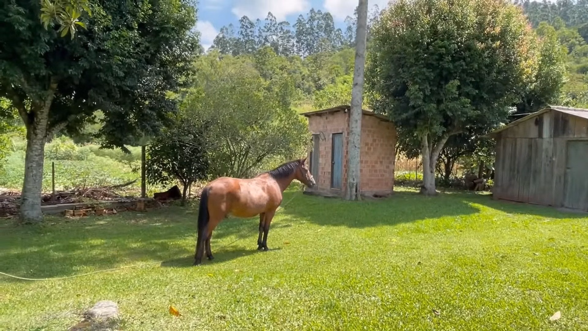 Small farm of 57 acres in Maquiné, RS, Brazil