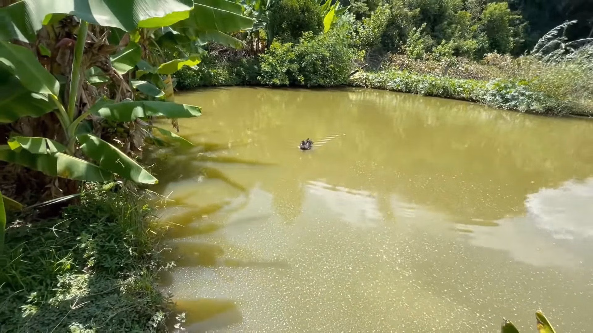 Small farm of 57 acres in Maquiné, RS, Brazil