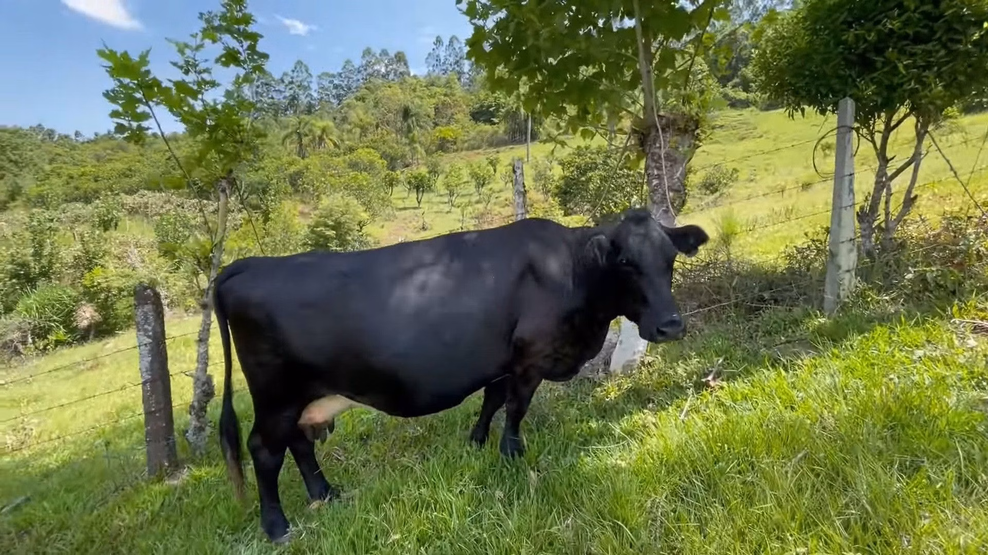 Small farm of 57 acres in Maquiné, RS, Brazil
