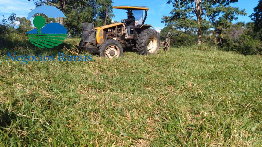 Fazenda de 1.301 ha em Uruaçu, GO