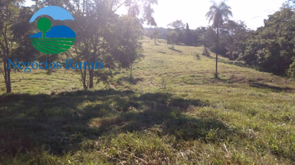 Fazenda de 1.301 ha em Uruaçu, GO