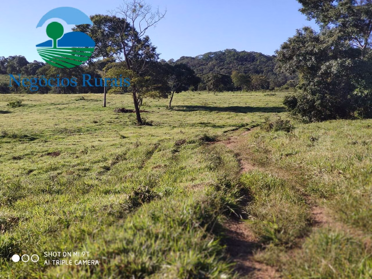 Fazenda de 1.301 ha em Uruaçu, GO