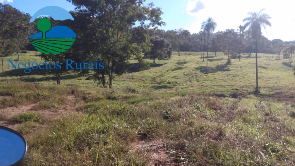 Fazenda de 1.301 ha em Uruaçu, GO
