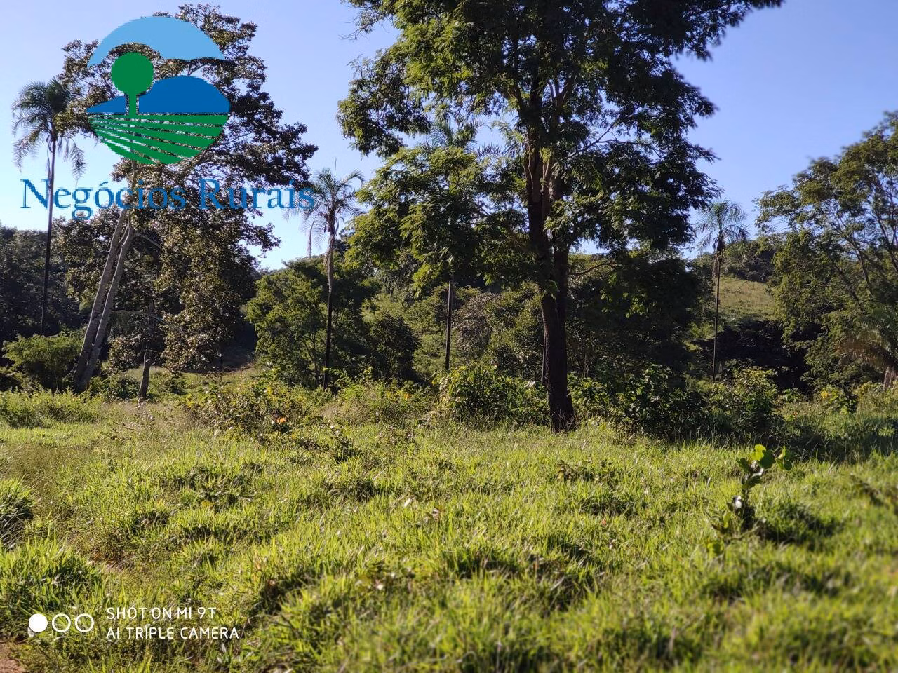 Fazenda de 1.301 ha em Uruaçu, GO