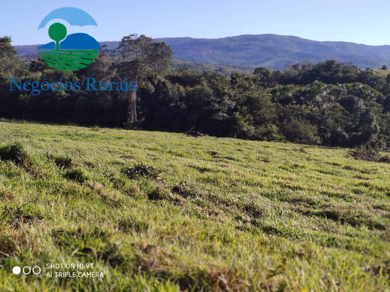 Fazenda de 1.301 ha em Uruaçu, GO