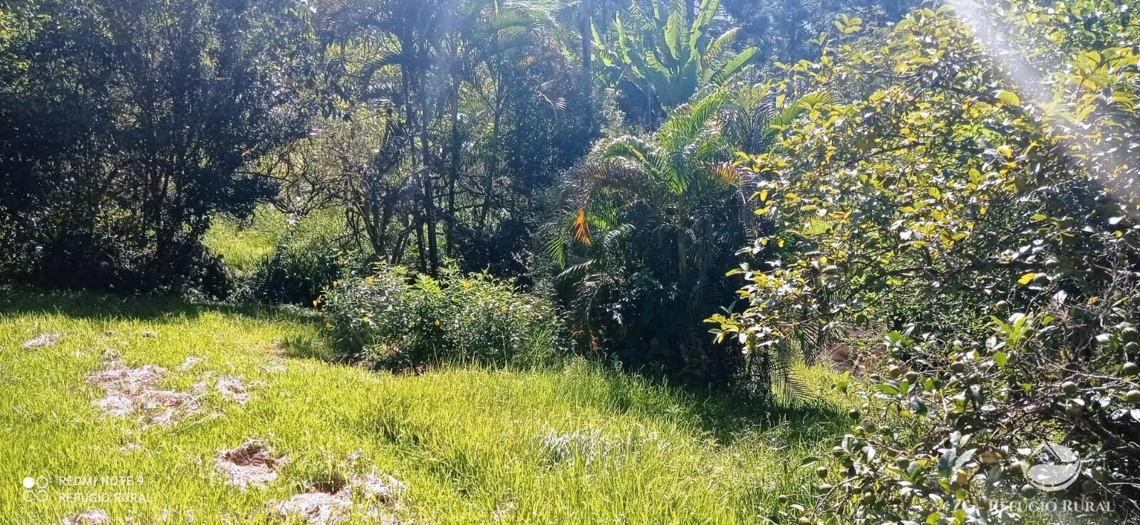 Small farm of 7 acres in São José dos Campos, SP, Brazil