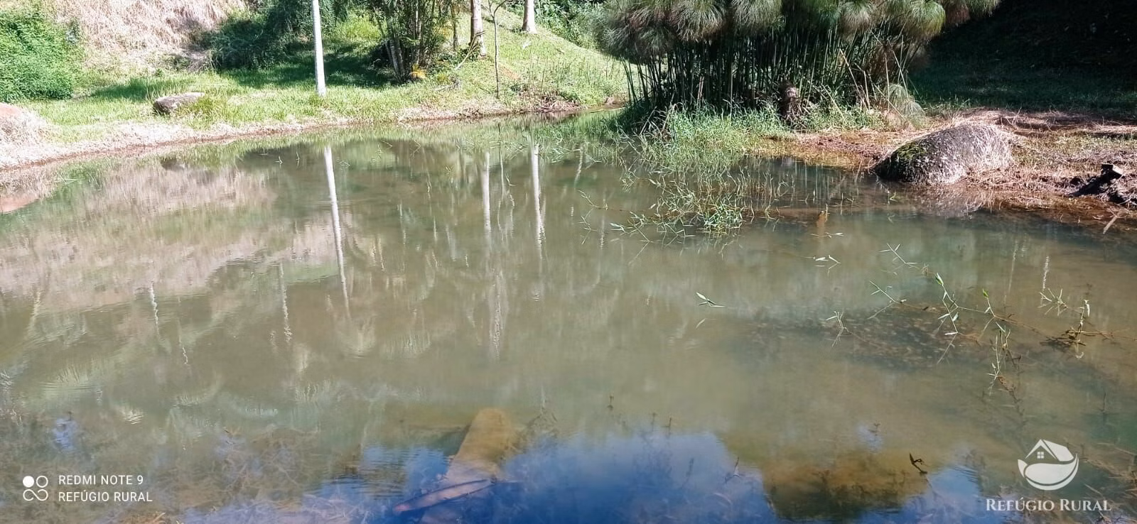 Small farm of 7 acres in São José dos Campos, SP, Brazil