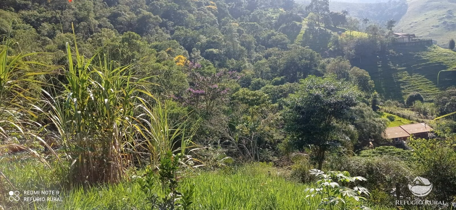 Small farm of 7 acres in São José dos Campos, SP, Brazil
