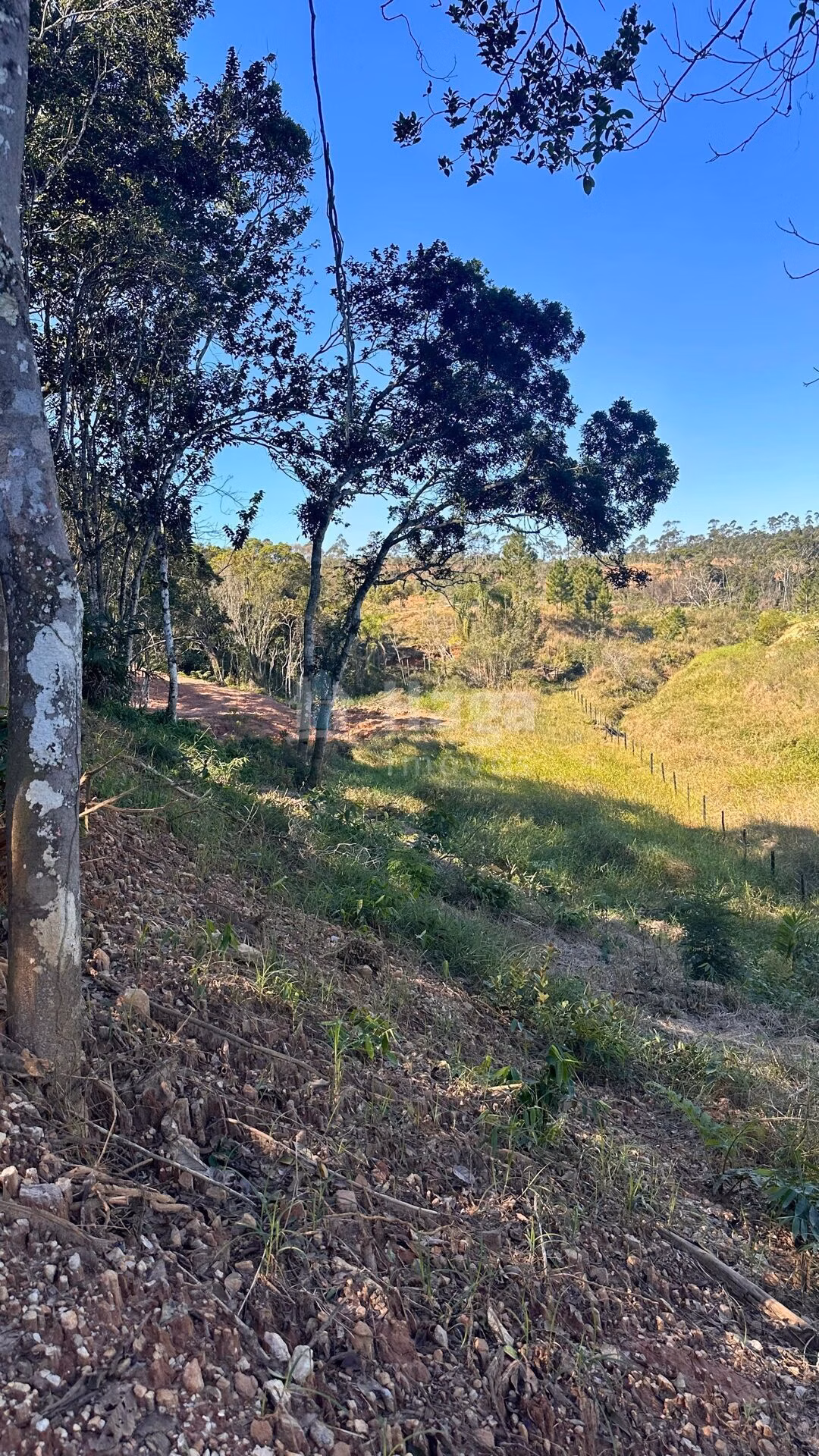 Terreno de 2 ha em Canelinha, SC