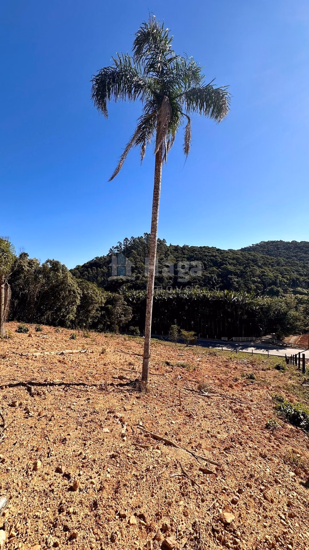 Terreno de 2 ha em Canelinha, SC