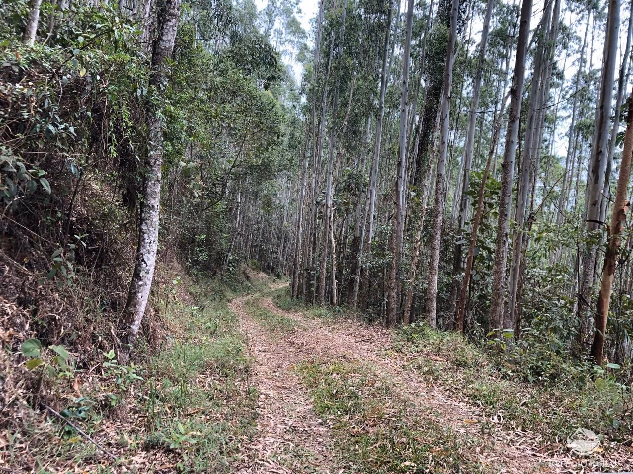 Sítio de 20 ha em São José dos Campos, SP