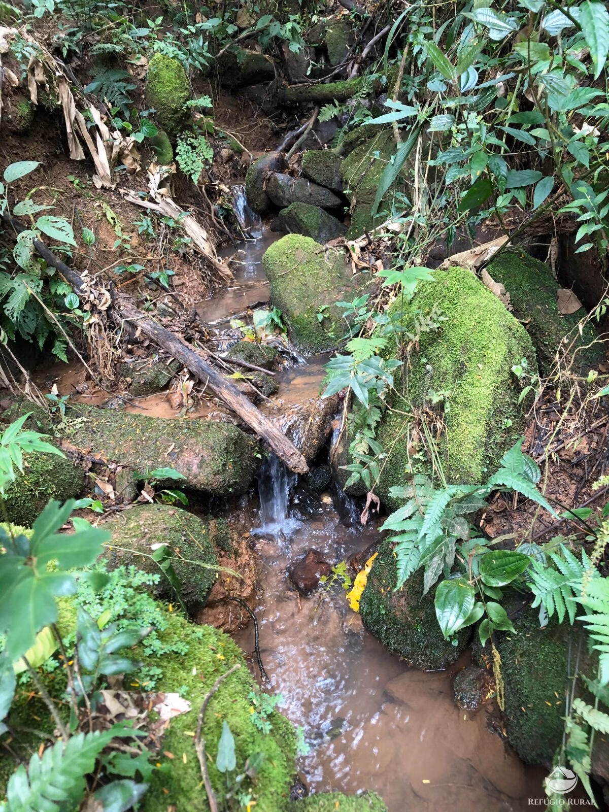 Sítio de 20 ha em São José dos Campos, SP
