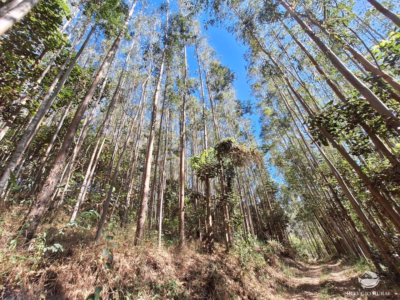 Sítio de 20 ha em São José dos Campos, SP