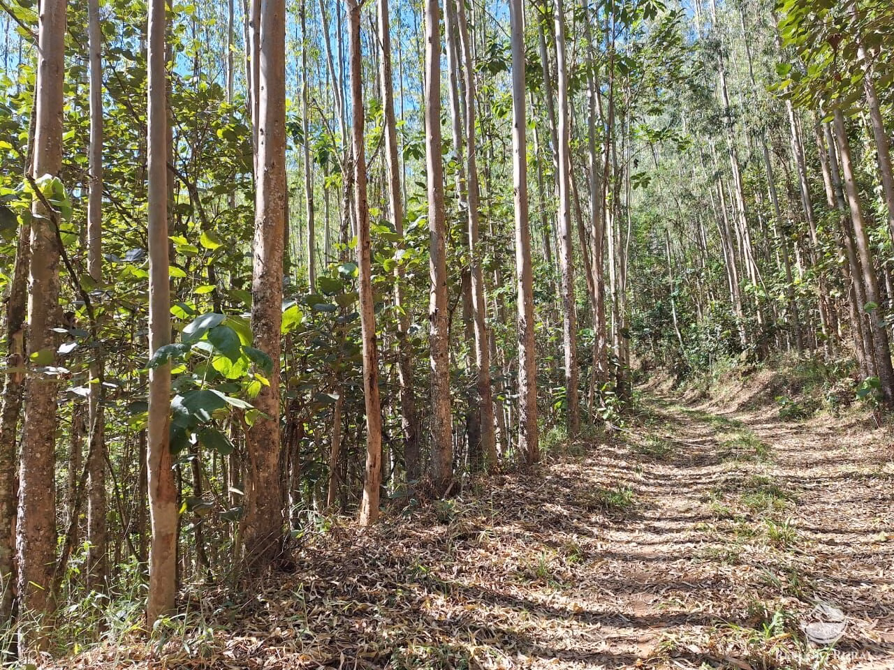 Sítio de 20 ha em São José dos Campos, SP