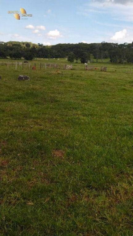 Fazenda de 630 ha em Rosário Oeste, MT