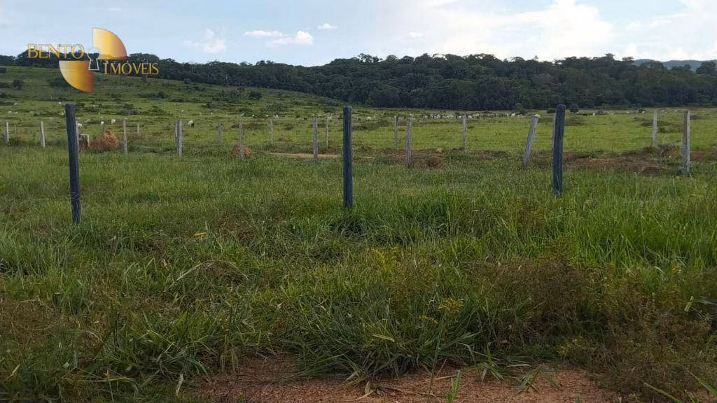Fazenda de 630 ha em Rosário Oeste, MT