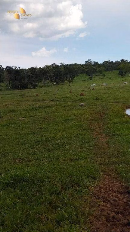 Fazenda de 630 ha em Rosário Oeste, MT