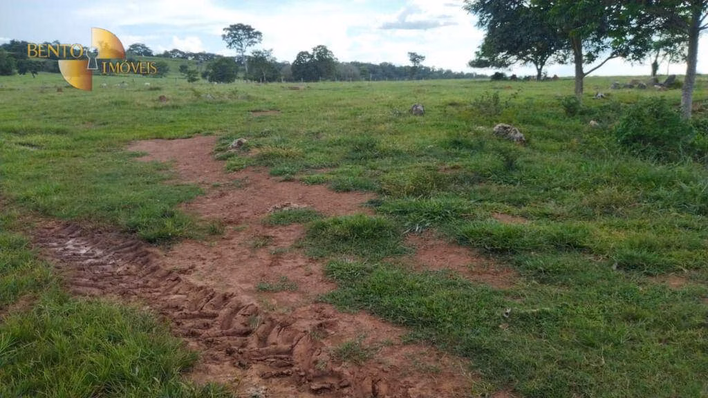 Fazenda de 630 ha em Rosário Oeste, MT