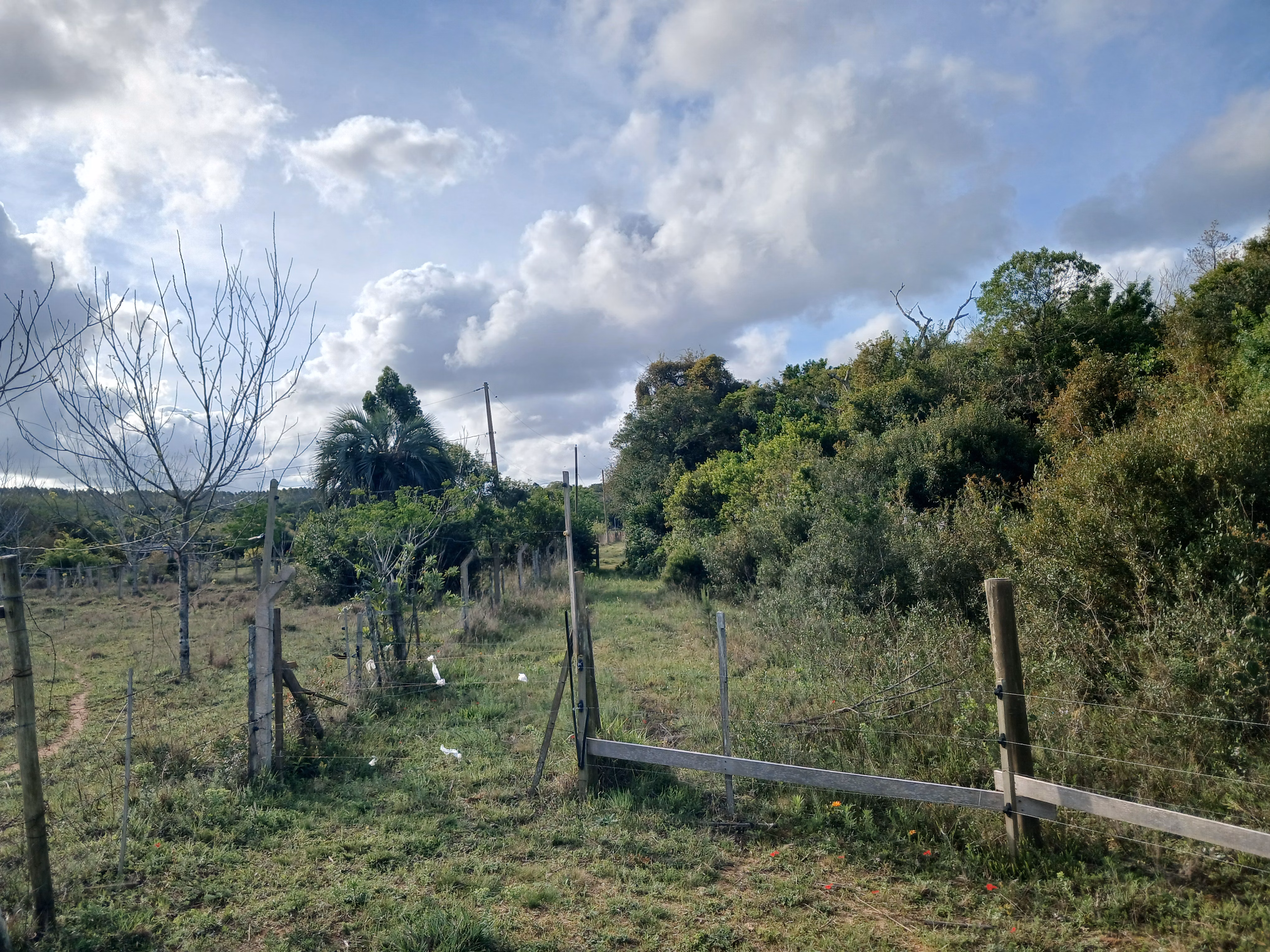 Sítio de 1 ha em Viamão, RS
