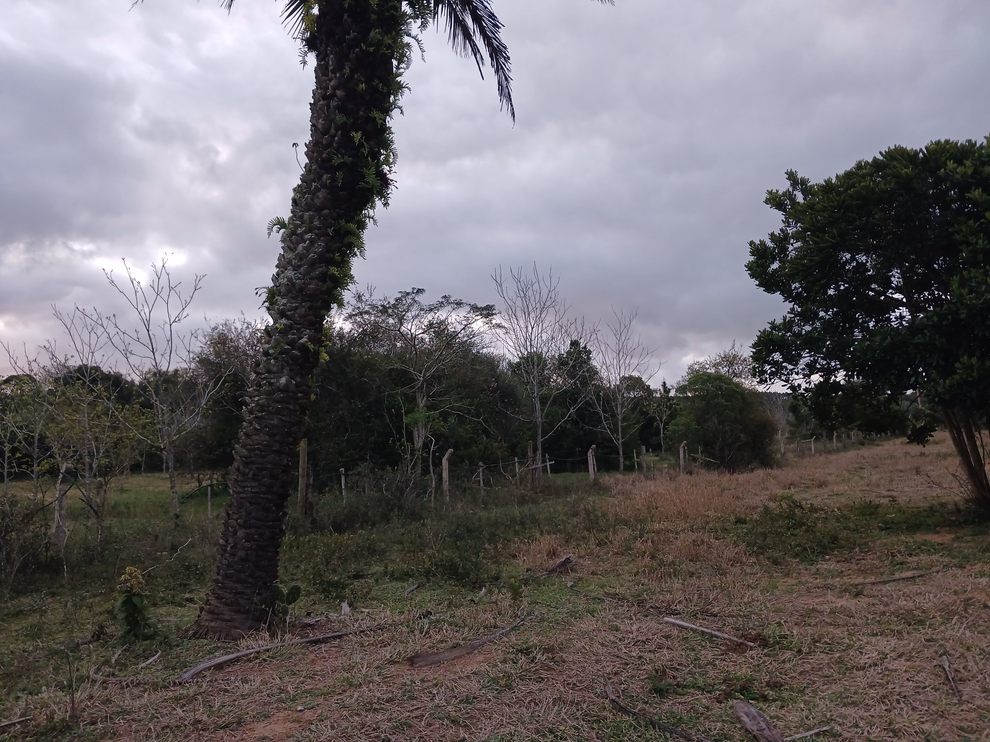Sítio de 1 ha em Viamão, RS