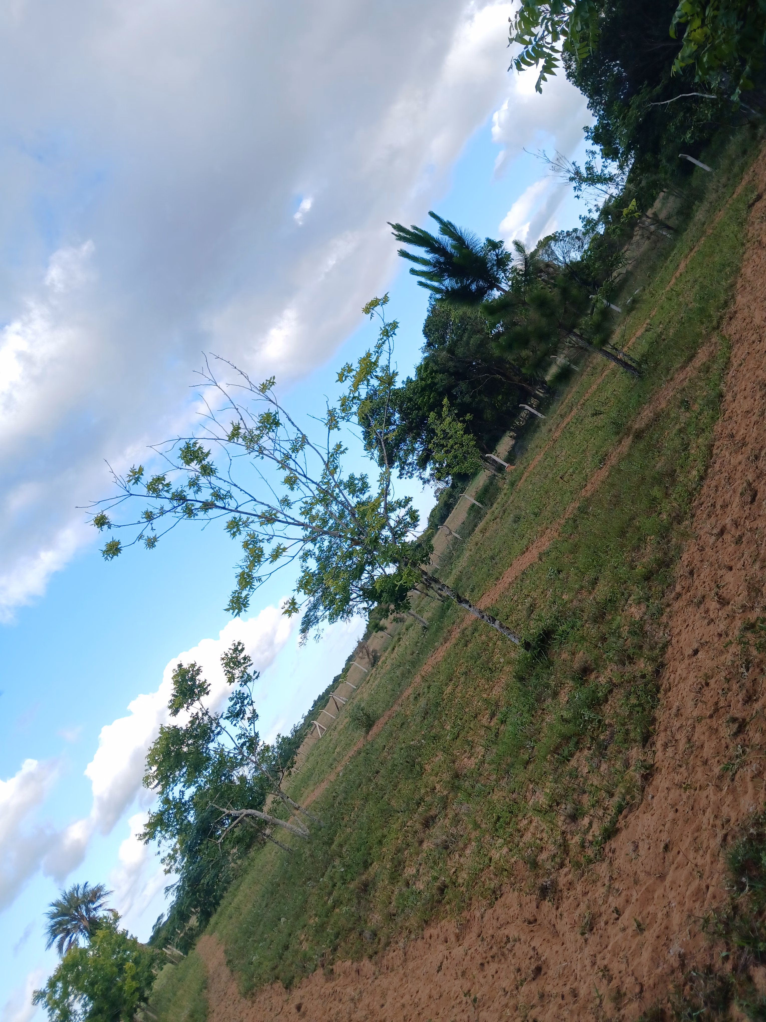 Sítio de 1 ha em Viamão, RS